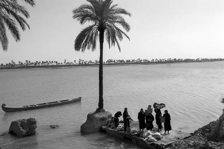 Al-Qurna, Iraq. 1997. Once, There Was a Garden of Eden. Photo by Oleg Klimov