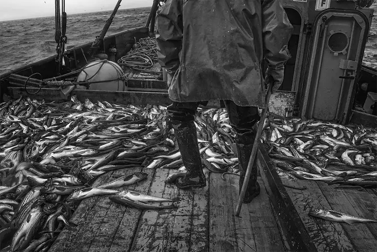 ALONG THE SHORES OF RUSSIA