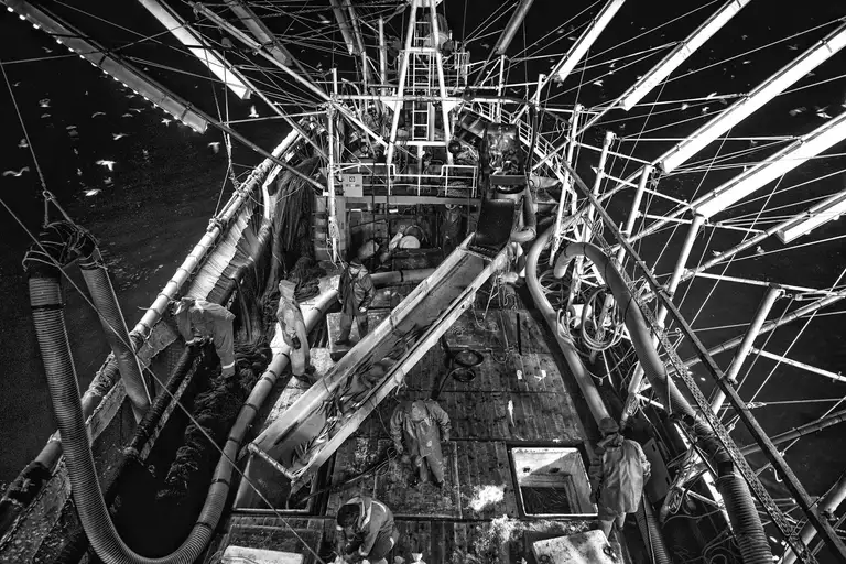 CALAMITY ISLANDS | SAKHALIN AND KURILS