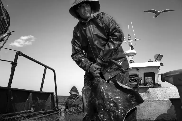 CALAMITY ISLANDS | SAKHALIN AND KURILS