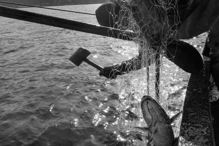 CALAMITY ISLANDS | SAKHALIN AND KURILS