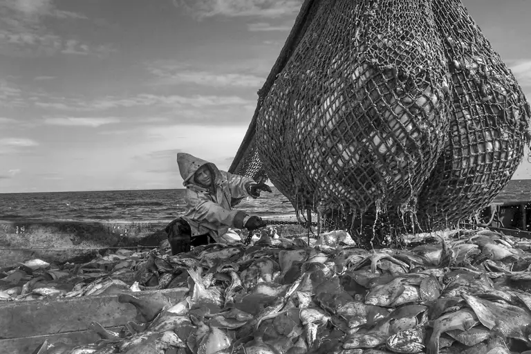 CALAMITY ISLANDS | SAKHALIN AND KURILS