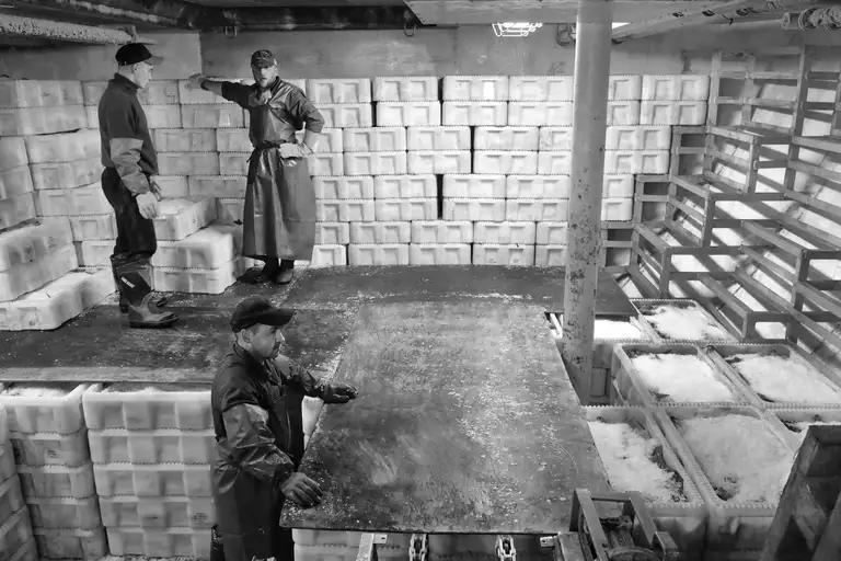 CALAMITY ISLANDS | SAKHALIN AND KURILS