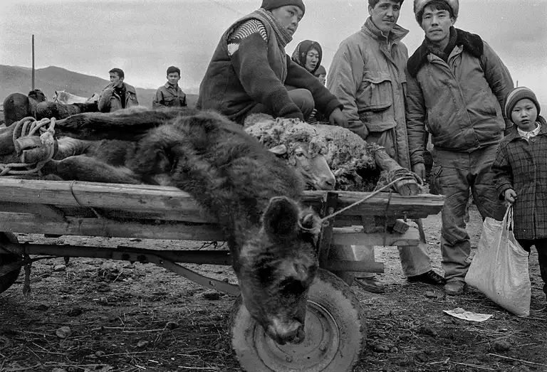 WITNESSES OF THE TIME