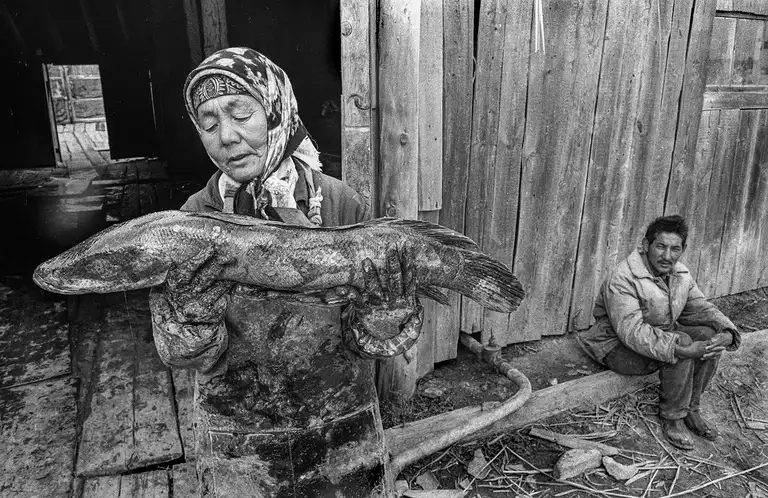 WITNESSES OF THE TIME