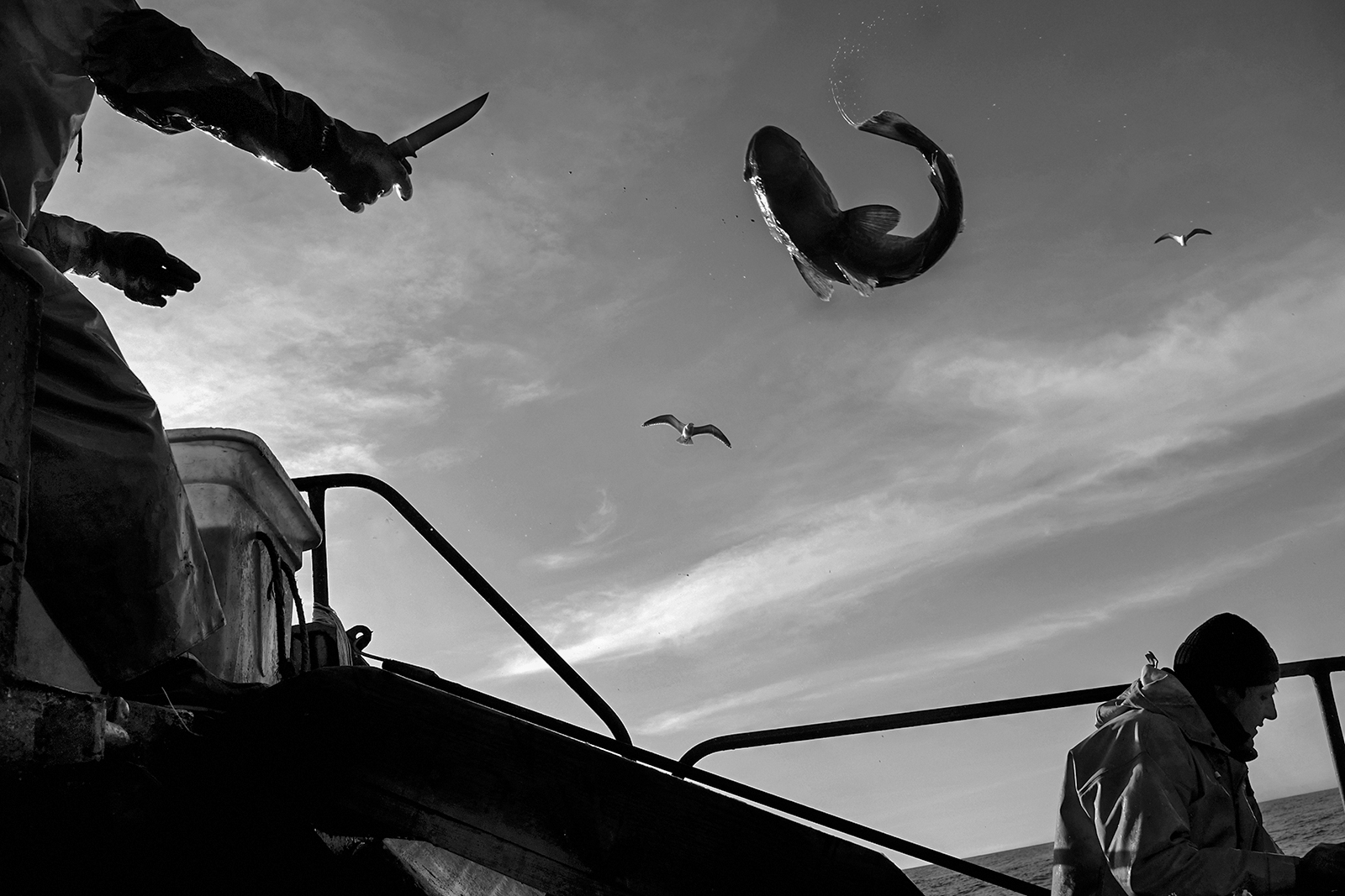 sakhalin, Iturup Island, Kurils — fishing, 2022. Calamity Islands. Oleg Klimov