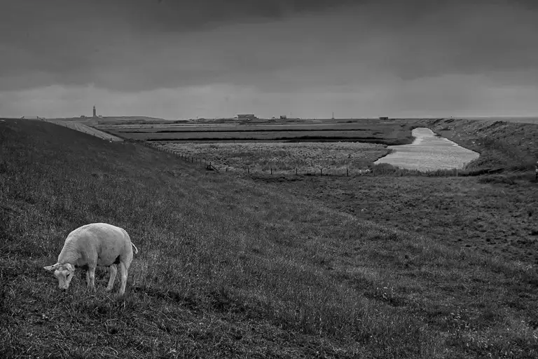 Texel island. the Netherlands. Photo by Oleg Klimov