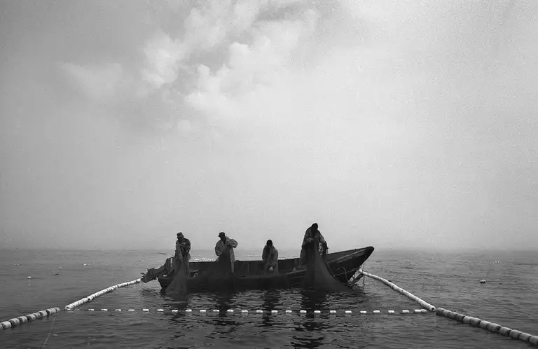 The hard-labour island has turned into a shift-work island for transcontinental corporations. From the book Calamity Islands by Oleg Klimov