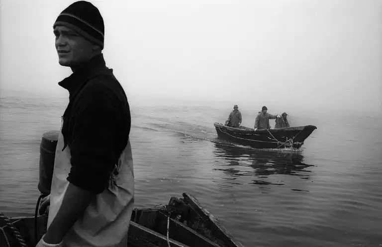 The hard-labour island has turned into a shift-work island for transcontinental corporations. From the book Calamity Islands by Oleg Klimov