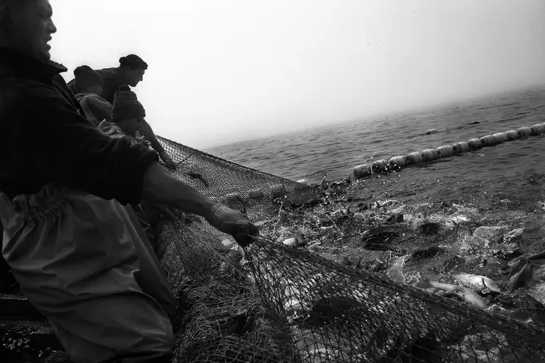 The hard-labour island has turned into a shift-work island for transcontinental corporations. From the book Calamity Islands by Oleg Klimov