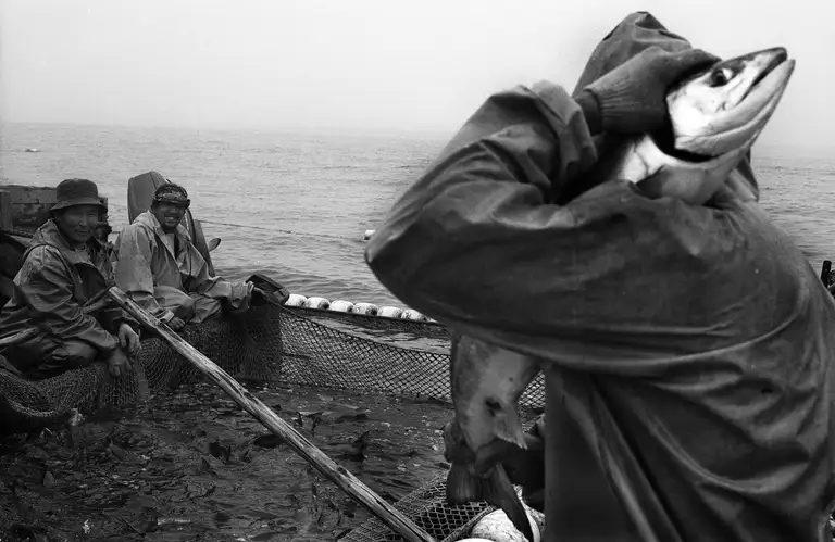 The hard-labour island has turned into a shift-work island for transcontinental corporations. From the book Calamity Islands by Oleg Klimov