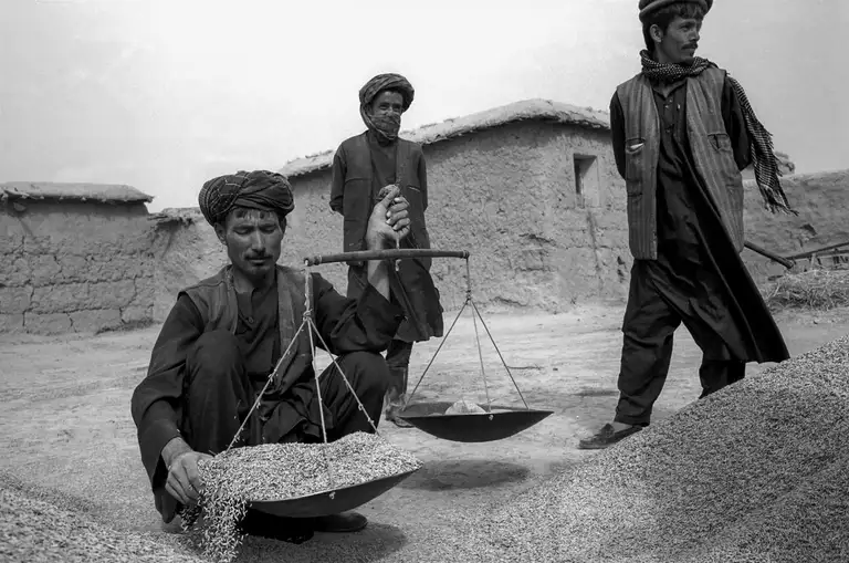 Wheat for sale. Northern Afghanistan, October, 2001. Photo by Oleg Klimov