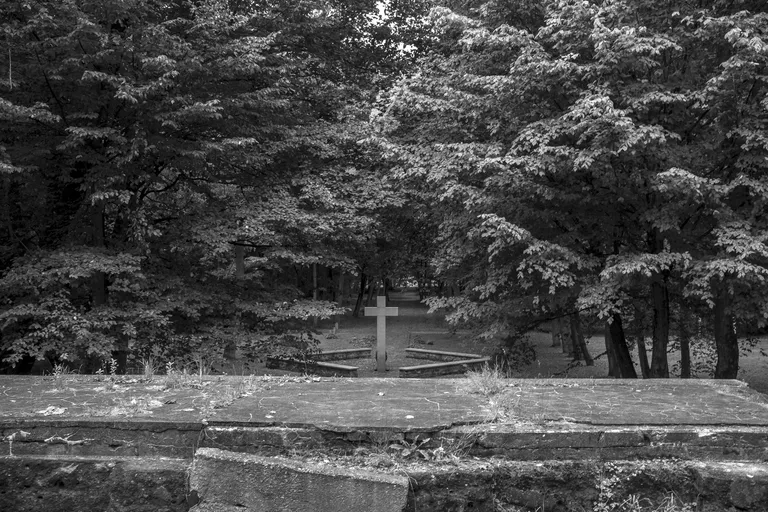 Tilsit’s Forest Cemetery. Photo: Oleg Klimov.