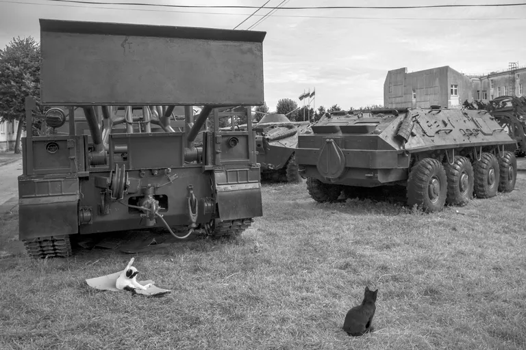 Military equipment museum in Sovets. Photo: Oleg Klimov