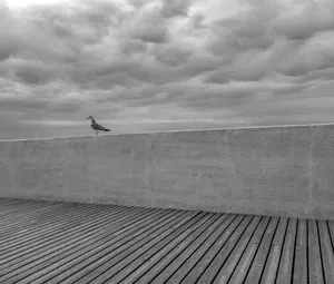The seafront promenade in Svetlogorsk, formerly the German town of Rauschen, in Russia’s Kaliningrad exclave. Baltic Sea. October 2026. Photo by Oleg Klimov.